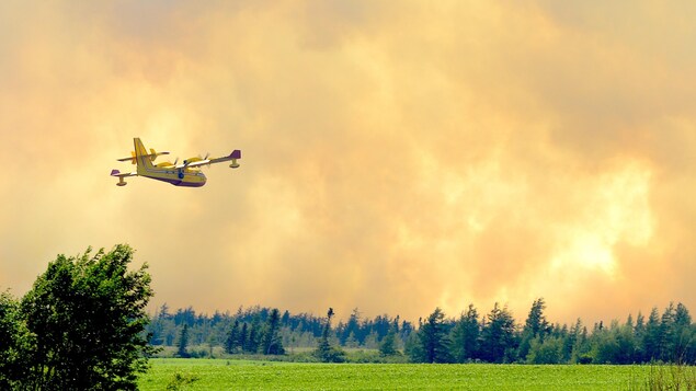 Un avion-citerne survole un feu de forêt.