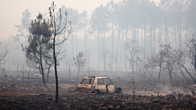  Violents incendies en Europe du Sud, des milliers de personnes évacuées 