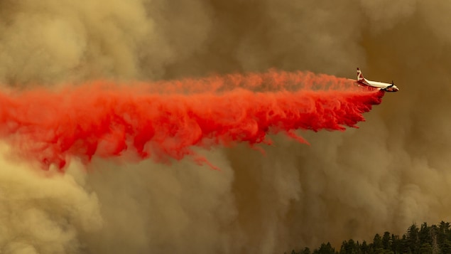 Un avion laisse échapper sa cargaison de poudre anti-feu dans le ciel.