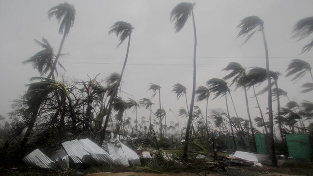 Des bâtiments et des arbres lourdement endommagés par le cyclone Fani