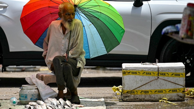 Un vendeur de poisson indien se protège du soleil avec un parapluie.