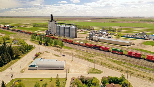 Le terminal céréalier avec un train d'Indian Head, en Saskatchewan, en juin 2022.