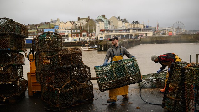 Des pêcheurs transportent leurs casiers de homards.