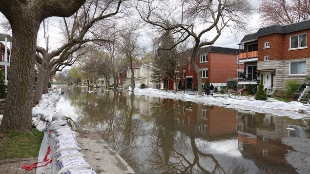 L'eau commence lentement à se retirer de la rue Cousineau dans Ahuntsic-Cartierville.
