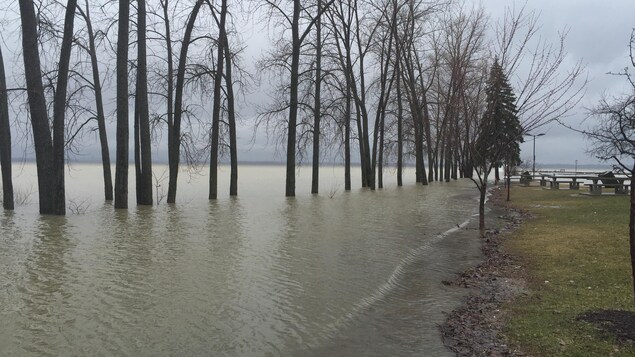 La marina d'Aylmer, à Gatineau.