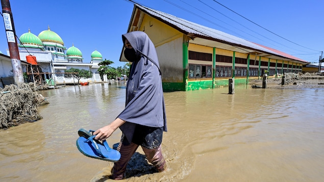 Les inondations en Indonésie, en Thaïlande et au Sri Lanka dépassent les 800 morts