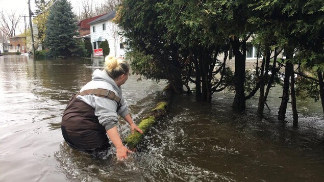 Une femme redirige un billot de bois. Elle a de l'eau jusqu'à la taille. Une femme redirige un billot de bois. Elle a de l'eau jusqu'à la taille.
