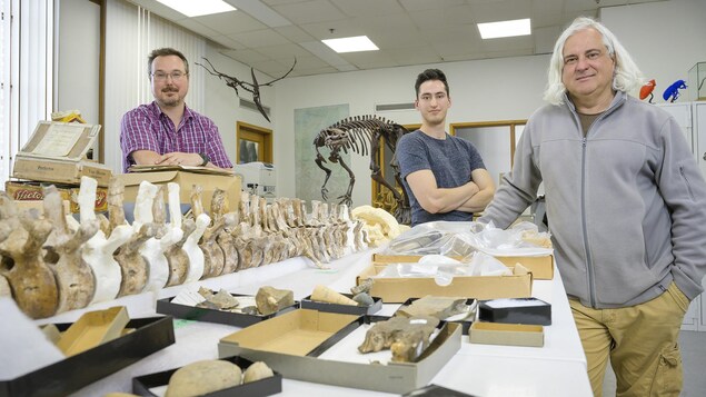De gauche à droite, Ryan McKellar, Jerit Mitchell et Mauricio Barbi, au laboratoire du Musée royal de la Saskatchewan.