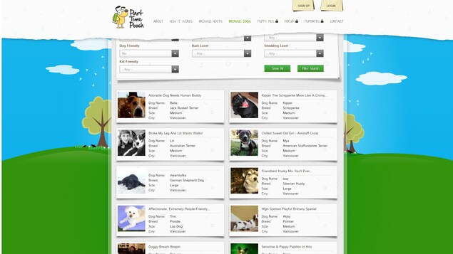 La page de recherche des chiens sur le site internet de Part Time Pooch, avec différents critères, comme la race, la taille et le niveau d'activité nécessaire. La page de recherche des chiens sur le site internet de Part Time Pooch, avec différents critères, comme la race, la taille et le niveau d'activité nécessaire.