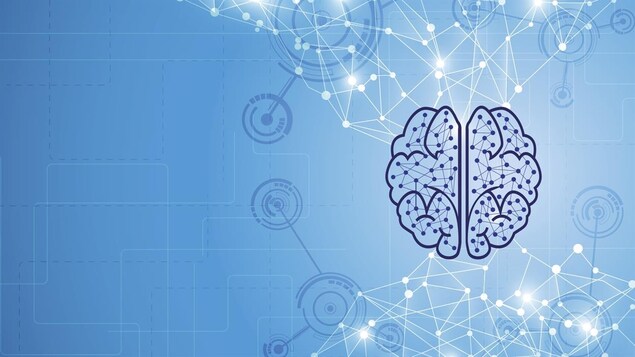 L'intelligence artificielle présente l'avantage de ne pas avoir besoin de l'humain pour fonctionner.