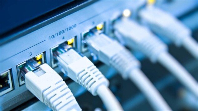 Des câbles Ethernet sont branchés dans des prises. 