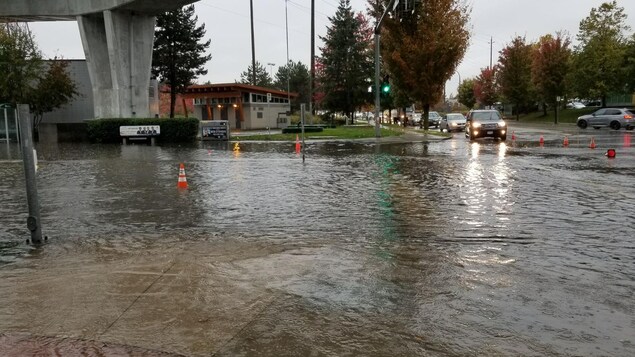Une intersection qui ressemble à un lac avec une file de voitures qui attendent aux feux de circulation Une intersection qui ressemble à un lac avec une file de voitures qui attendent aux feux de circulation