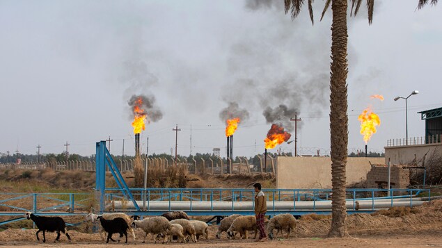 Irak : les exportations de pétrole en mars battent un record vieux de 50 ans