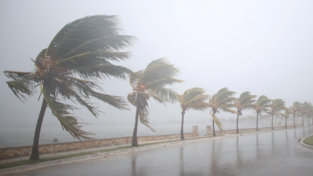 L'ouragan Irma s'est abattu vendredi soir sur Cuba, après s'être renforcé en tempête de catégorie 5.