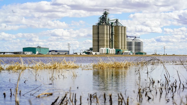 Les changements climatiques pourraient entraîner des pénuries d’eau en Alberta