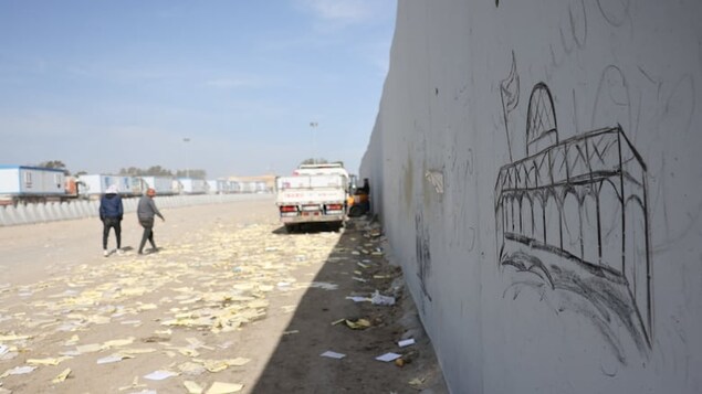 Dozens of Canadians gather in Egypt ahead of global march to Gaza ...