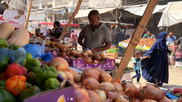 Mohammed Barghout looks at produce at the Gaza City market late last month. Three years after the war began, there are now more food options available in the strip, but much of it remains unaffordable to average Palestinians. 