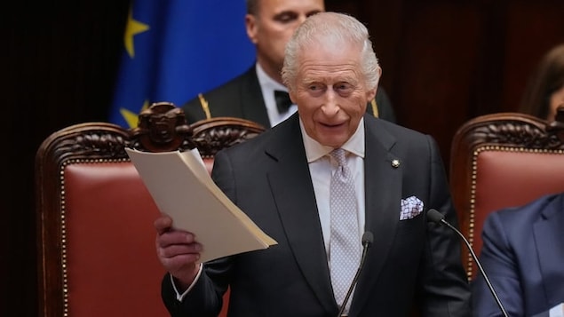King Charles referenced Canada's Second World War efforts in an address to the Italian Parliament in Rome last month. 