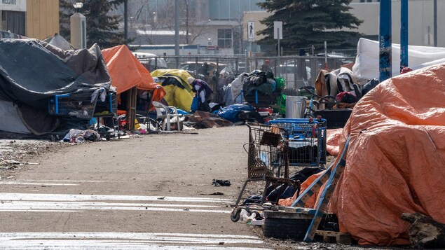 De plus en plus de plaintes contre les campements de sans-abri à Edmonton