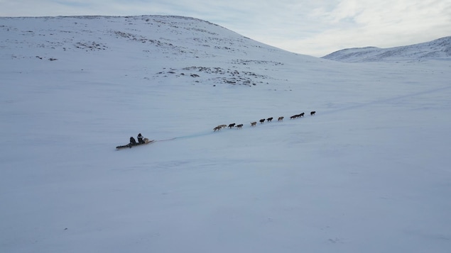 Deux personnes dans un traîneau tiré par une douzaine de chiens, Kangiqsujuaq, Nunavik, mars 2023.   