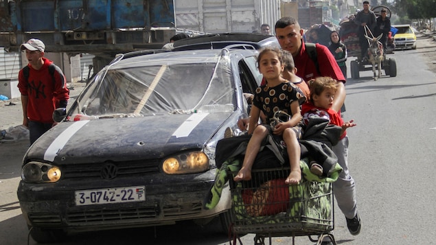 Un homme pousse ses enfants dans un carrosse d'épicerie.