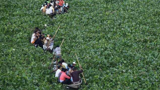Trois bateaux naviguent sur la rivière qui est complètement couverte de plantes. Trois bateaux naviguent sur la rivière qui est complètement couverte de plantes.