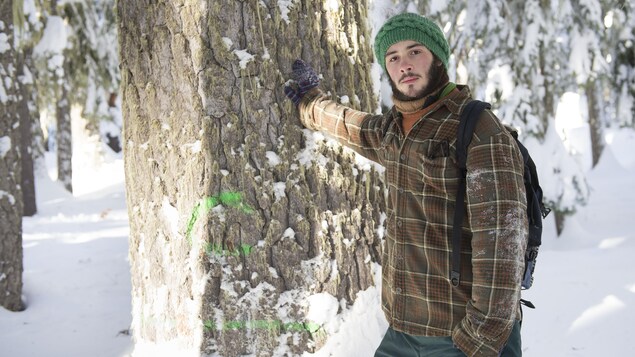 Jacob Lebel, accoté sur un énorme arbre marqué de vert, dans un paysage enneigé. Jacob Lebel, accoté sur un énorme arbre marqué de vert, dans un paysage enneigé.