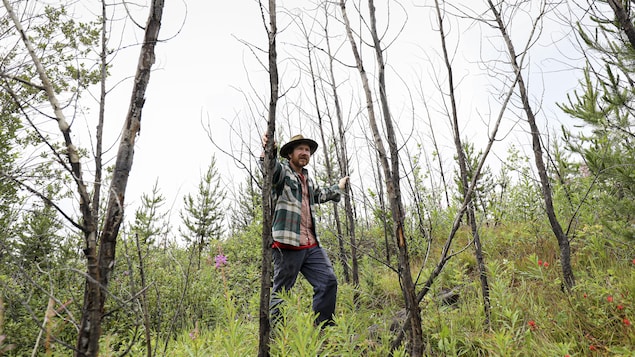 Le glyphosate pourrait être nocif pour les écosystèmes d’eau douce