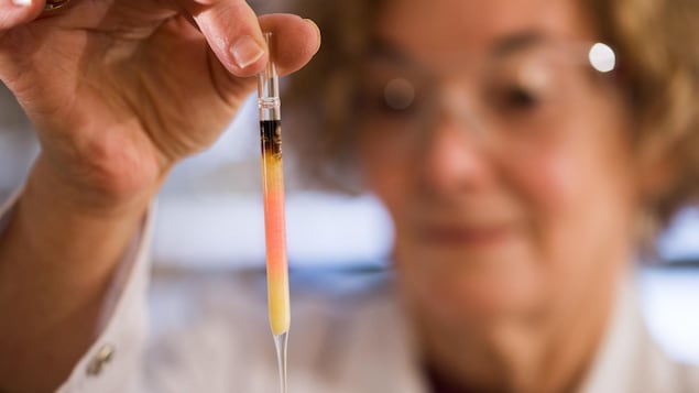La biogeochimiste Janet Hope tient dans sa main un échantillon du plus vieux pigment de couleur. La biogeochimiste Janet Hope tient dans sa main un échantillon du plus vieux pigment de couleur.