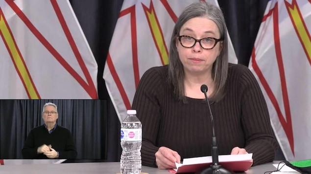 Janice Fitzgerald assise en conférence de presse devant un micro et des documents.