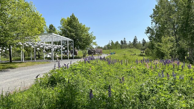 Une expérience végétale au Festival international de jardins à Grand-Métis