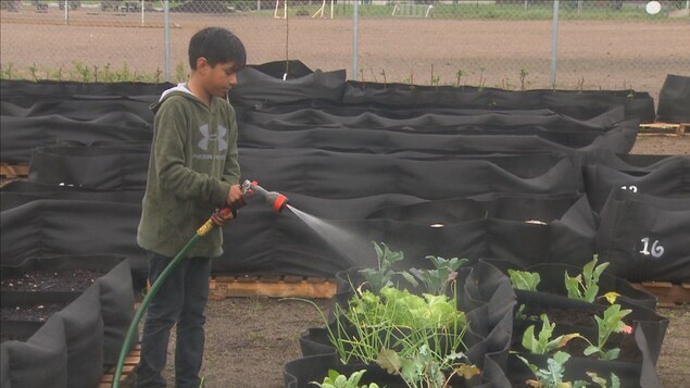 Matis arrose son jardin Matis arrose son jardin