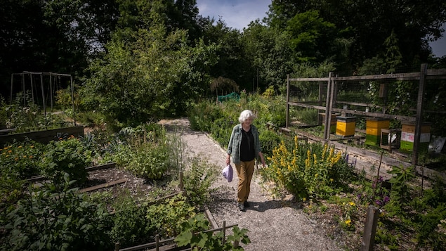 Jardins communautaires: plus que des endroits pour cultiver de la nourriture