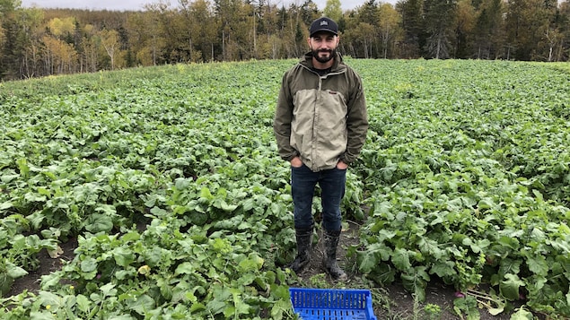 Le Jardin des Vétérans prône l’hortithérapie