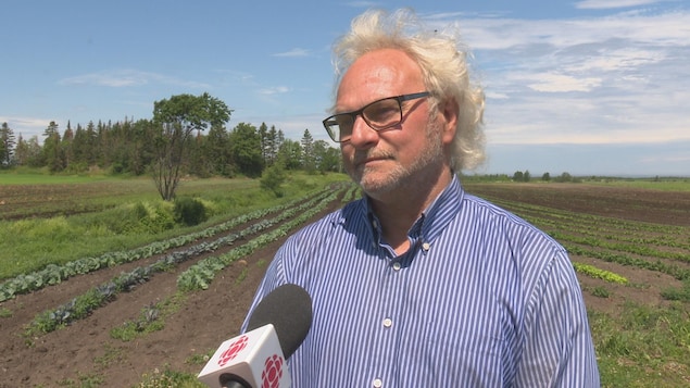 Jean-Yves Roy, propriétaire des Herbes salées du Bas-du-Fleuve dans son champ Jean-Yves Roy, propriétaire des Herbes salées du Bas-du-Fleuve dans son champ