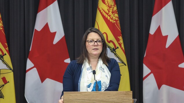 La médecin hygiéniste en chef du Nouveau-Brunswick, la Dre Jennifer Russell, le 25 novembre 2020.