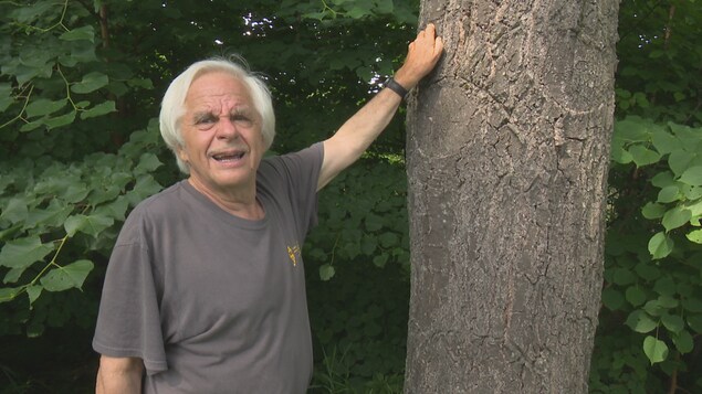 John Forest se tient aux côtés d'un arbre qu'il a planté lui-même.