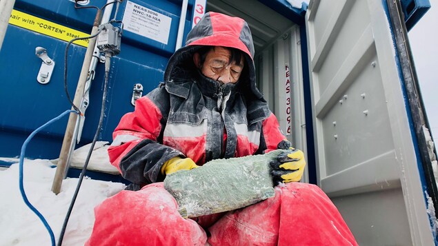 Une artiste sculpte un boeuf musqué dans une pierre de serpentine.