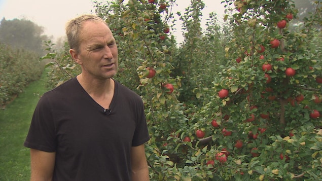 La Honeycrisp a permis à la ferme de Jonathan Fuller, à Avonport, de prospérer. La Honeycrisp a permis à la ferme de Jonathan Fuller, à Avonport, de prospérer.