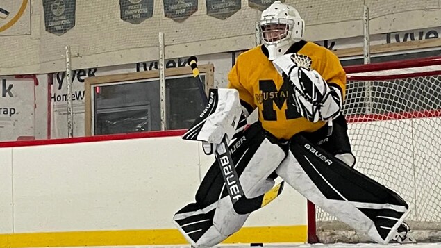 Des élèves du CSPGNO impliqués dans des incidents racistes lors de parties de hockey