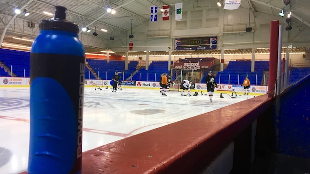 Joueurs qui pratiquent sur la glace Joueurs qui pratiquent sur la glace