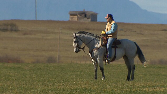 Une famille Kainai tente de sauvegarder les traditions agricoles des Pieds-Noirs