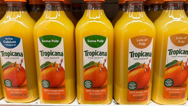 Containers of Tropicana orange juice displayed on a grocery store shelf.