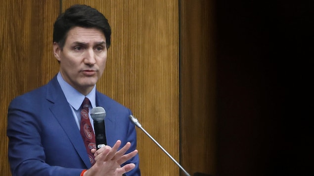 Some Liberal MPs Repeat Calls For Trudeau To Quit After Freeland ...