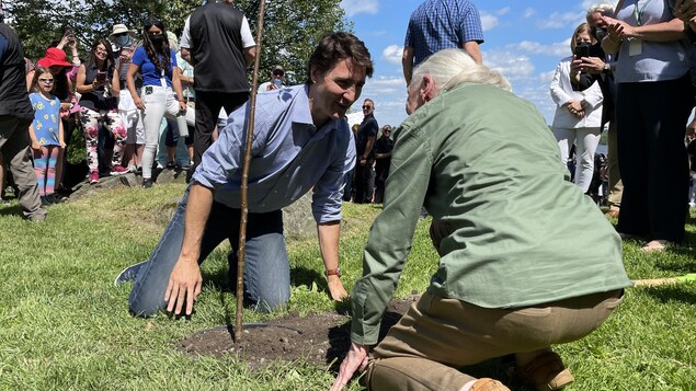Justin Trudeau et Jane Goodall sont accroupis autour d'un arbre fraîchement planté