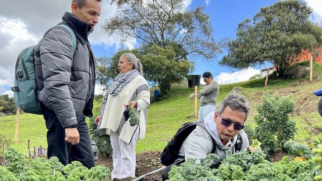 Quand victimes et bourreaux rêvent d’une même terre promise en Colombie