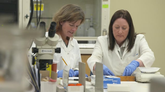 Les deux femmes travaillent à une table. Les deux femmes travaillent à une table.