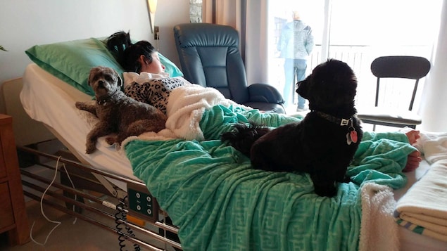 Karine Duval, couchée sur un lit d'hôpital avec deux chiens sur le lit Karine Duval, couchée sur un lit d'hôpital avec deux chiens sur le lit