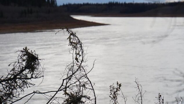 Des évacués de Kashechewan arrivent à Thunder Bay