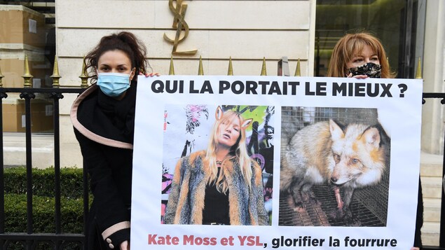 Saint Laurent et Brioni renoncent à leur tour à la fourrure animale